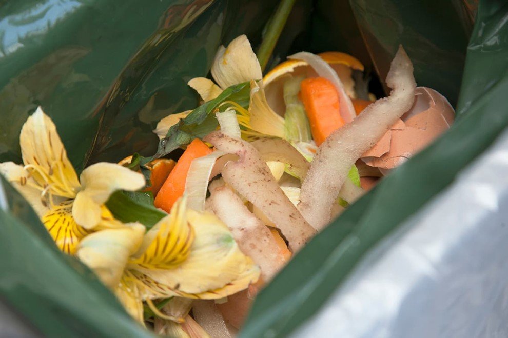 Как сделать компост и перегной: полезные советы