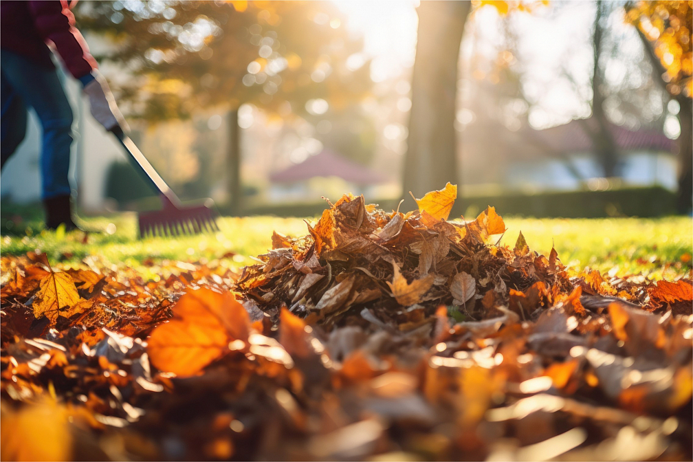 Осенний листопад: как быстро убрать участок