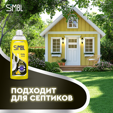 Гель для мытья посуды Simbl яркие фрукты 12