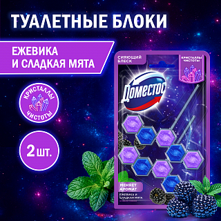 Блок для унитаза Доместос Кристаллы чистоты Ягодное сияние 2 шт.