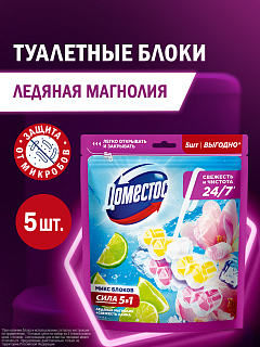 Блок для унитаза Доместос Сила 5в1 Свежесть лайма и Ледяная магнолия