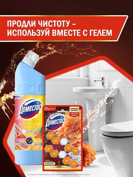 Блок для унитаза Доместос Арома Люкс Экзотический букет 2 шт. 8