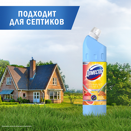 Универсальный чистящий гель Доместос Антиналет + Блеск Сила тропиков 9
