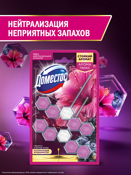 Блок для унитаза Доместос Арома Люкс Сказочный аромат 2 шт. 6