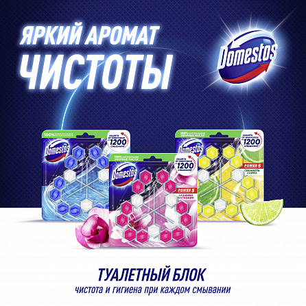 Блок для унитаза Domestos Power 5 Trio Ледяная магнолия 6