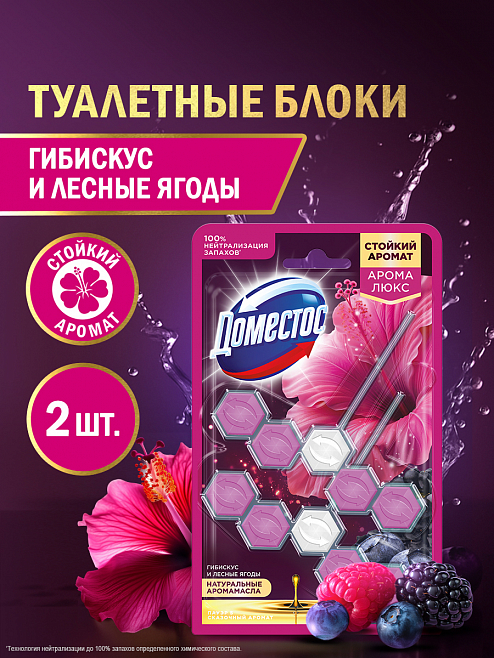 Блок для унитаза Доместос Арома Люкс Сказочный аромат 2 шт.