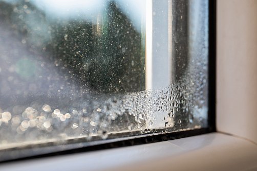 Как понизить влажность в квартире или доме