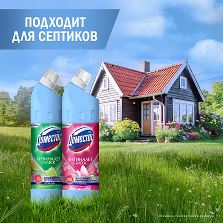 Универсальный чистящий гель Доместос Антиналет + Блеск Цветущая магнолия 8